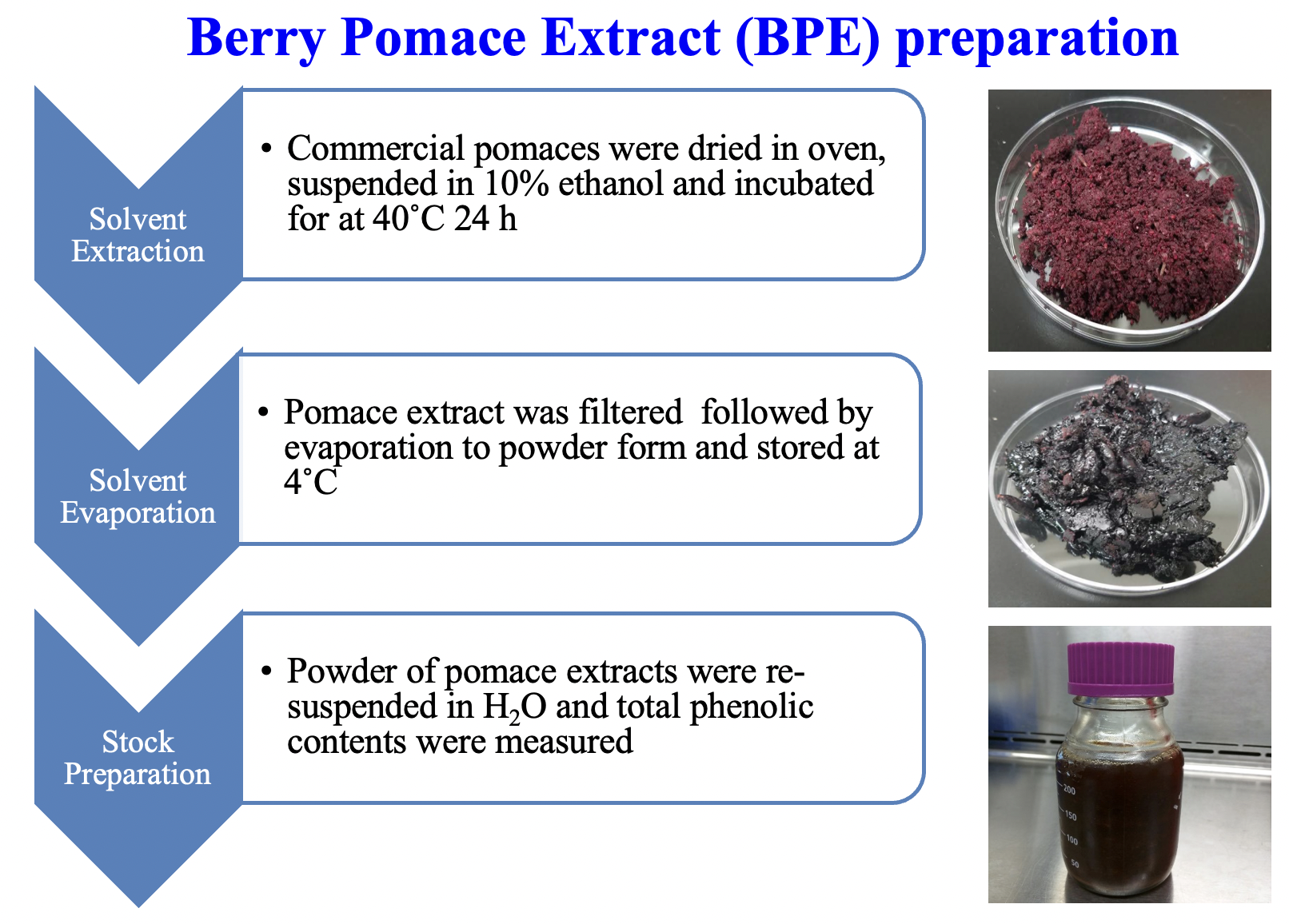 Berry Pomace Extract (BPE) preparation