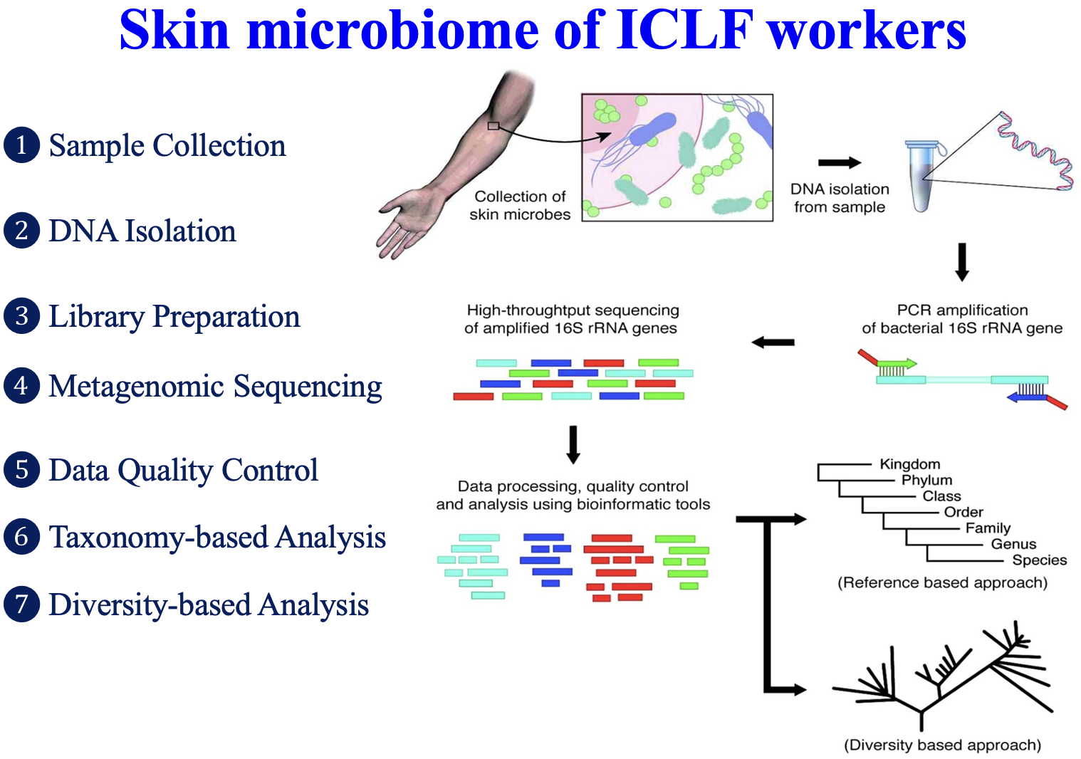 Skin microbiome of ICLF workers