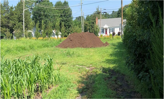 Manure stockpile